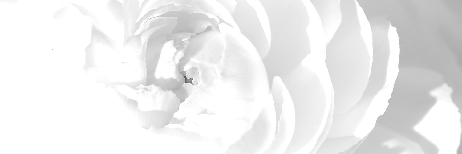 gilda_cer's profile banner image