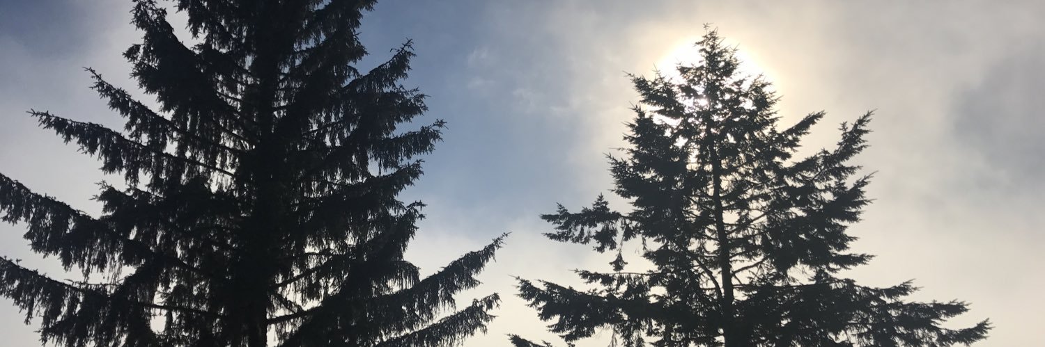 lydia_janee's profile banner image