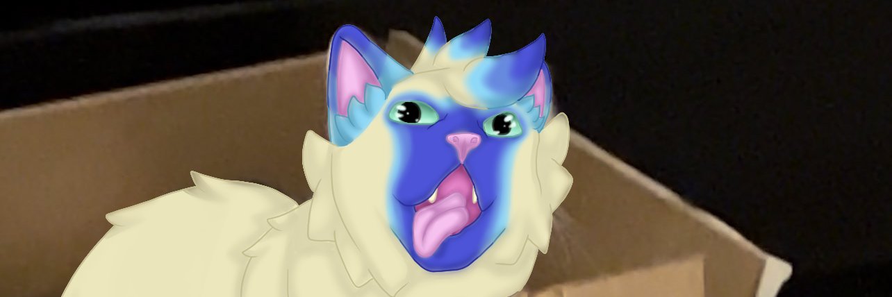 PachiGoesMeow's profile banner image