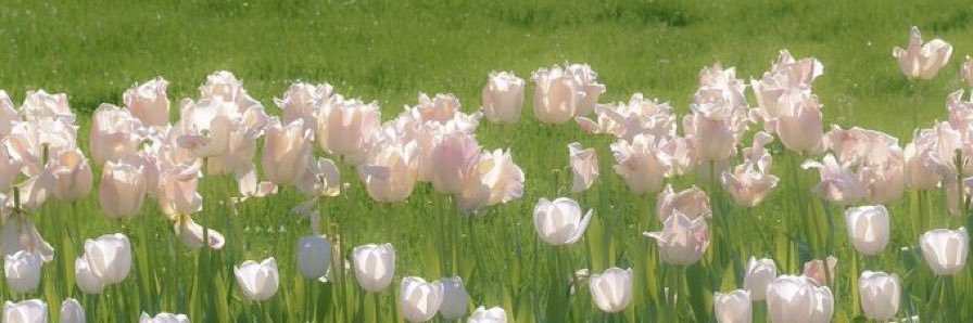 helloitsju's profile banner image