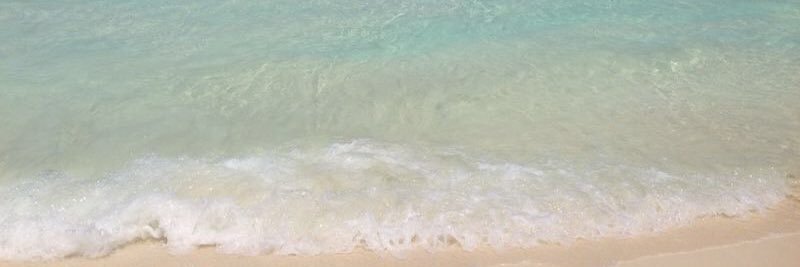 forraut's profile banner image