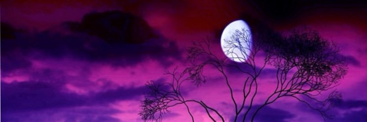 sammar133's profile banner image