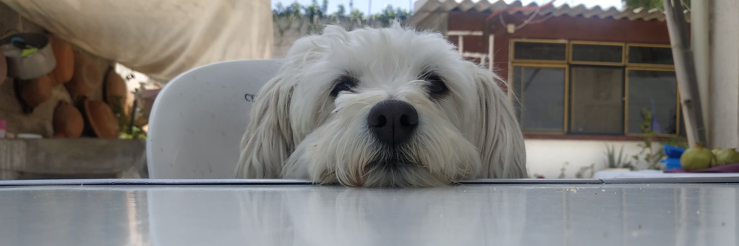 i_lucastro's profile banner image