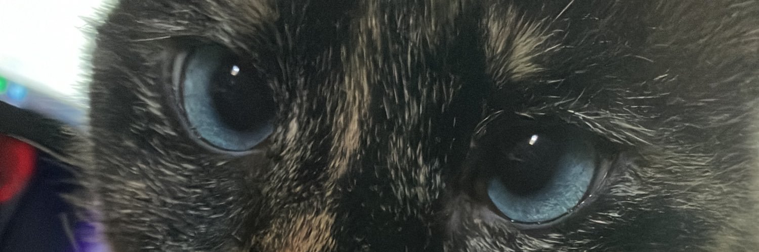 qu3ntin banner