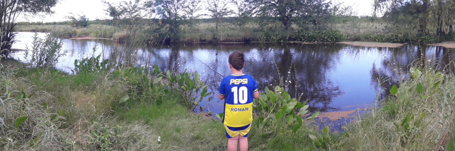 Panchosegu's profile banner image