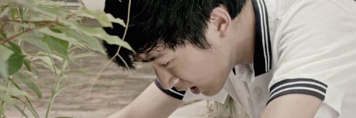13erwenP's profile banner image