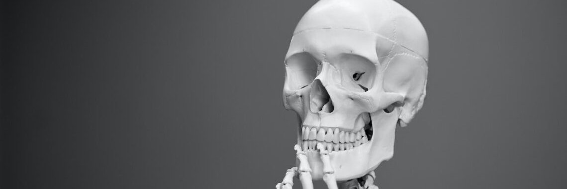 nert9544's profile banner image