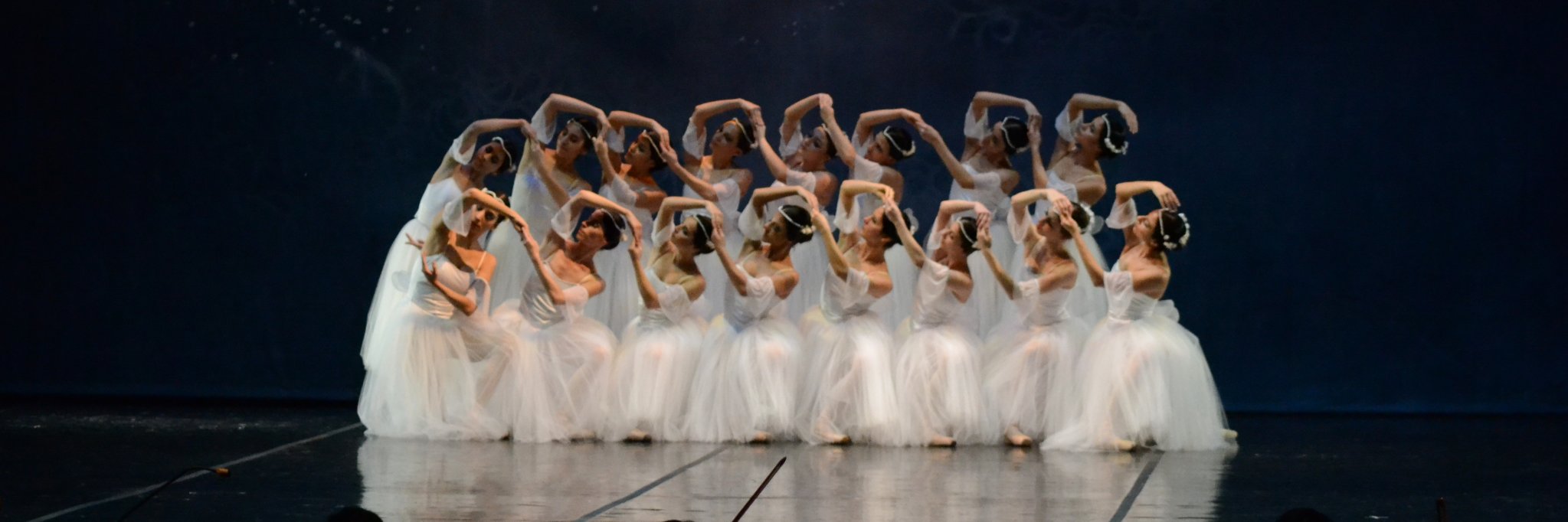 Ballet Parque del Conocimiento banner