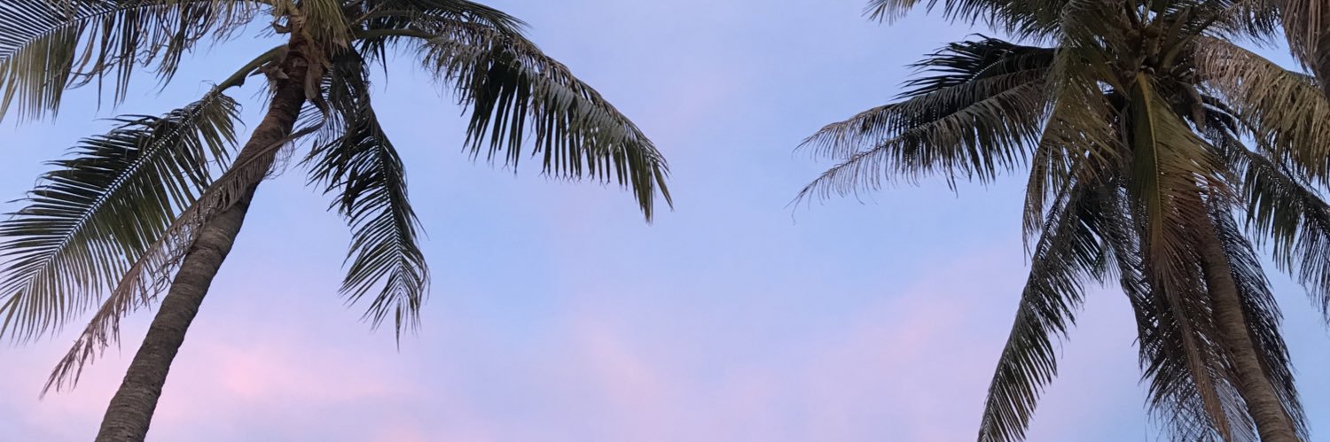 Lingmindmind's profile banner image