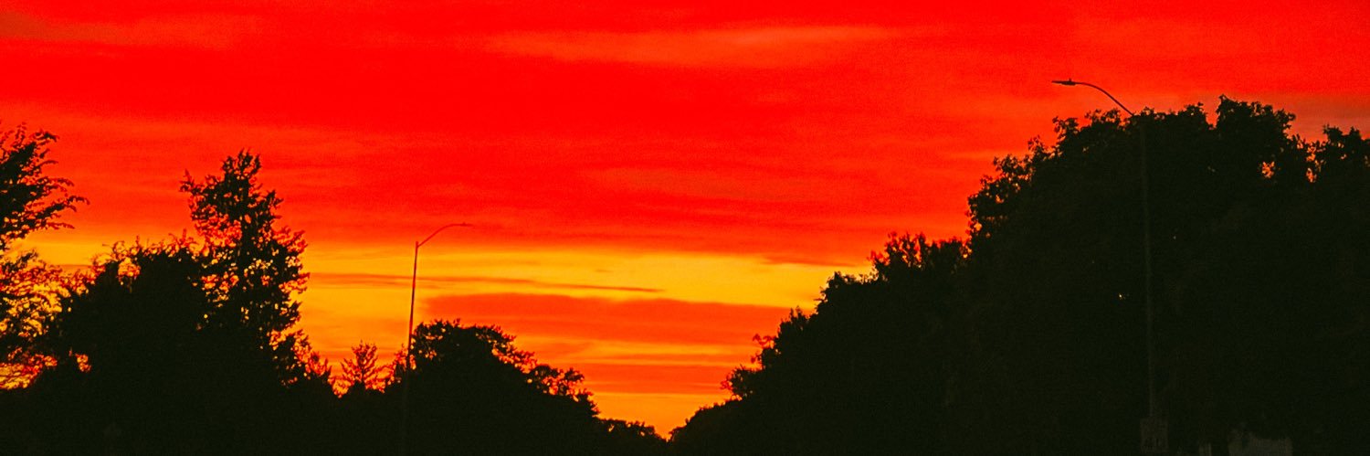 LizzieMoore__'s profile banner image