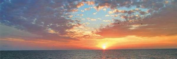 kc_coyle Profile Banner