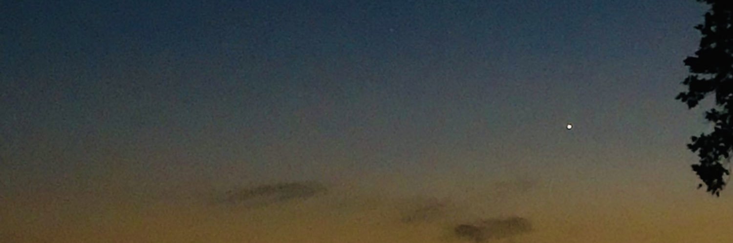 cam_morrison1's profile banner image