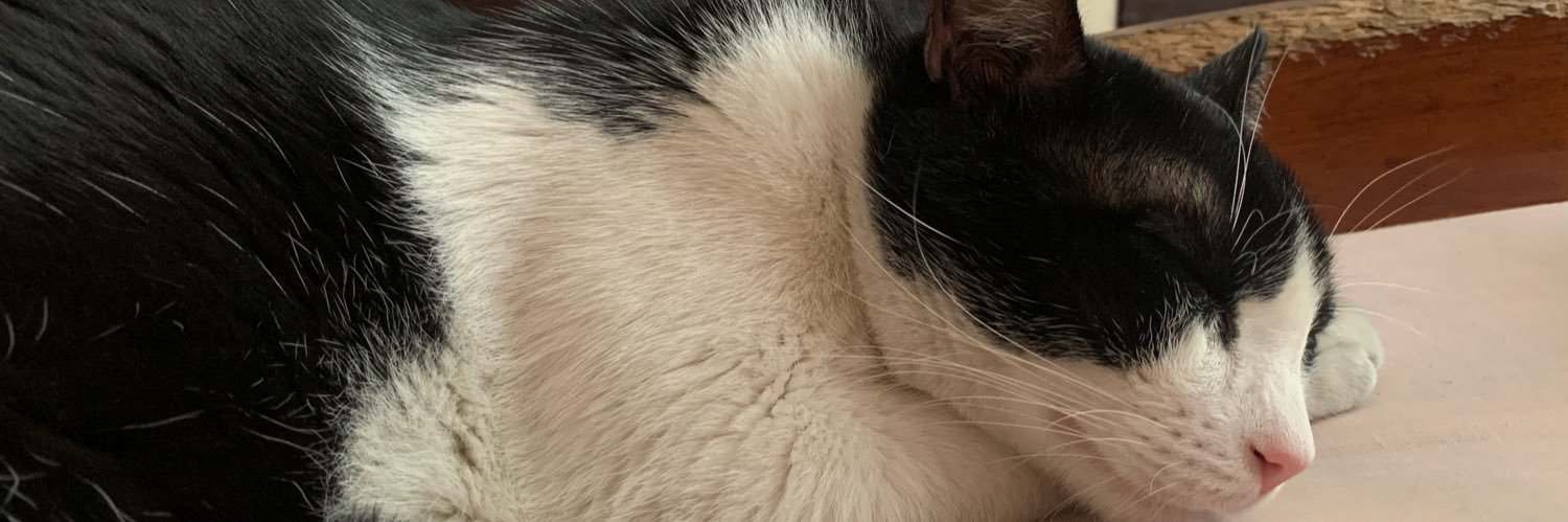 dayshasxo's profile banner image