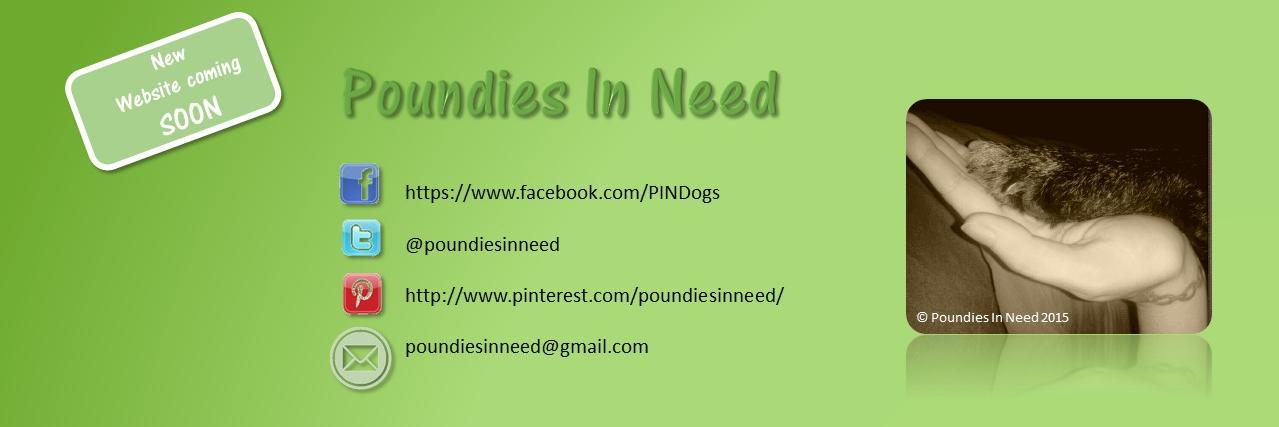 Poundies In Need banner