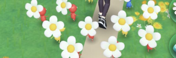100719Nanko's profile banner image