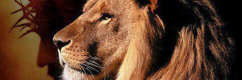 abrown_3's profile banner image