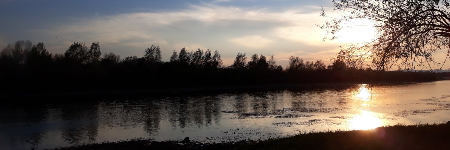 Tseenorov's profile banner image
