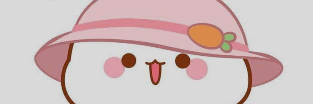 meilindsr_'s profile banner image