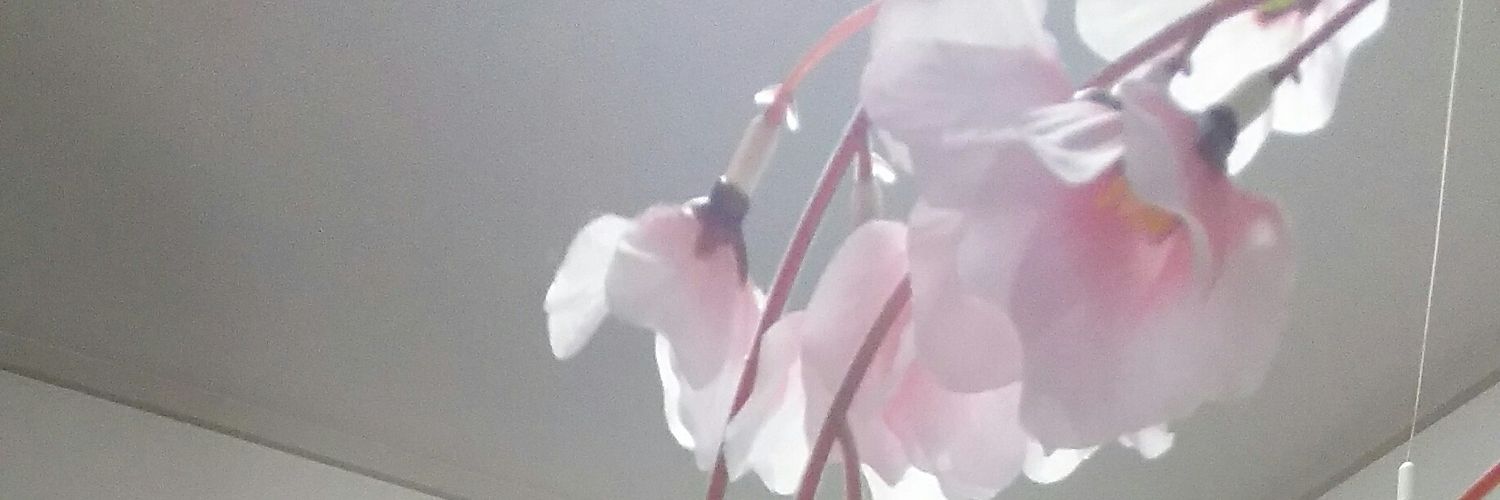 darkrsilver's profile banner image