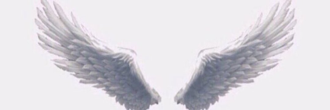 monira1399's profile banner image