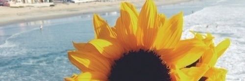 _cassidyflood's profile banner image