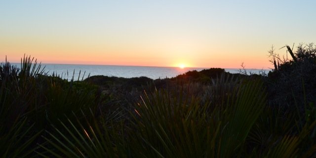 stevescarangelo's profile banner image