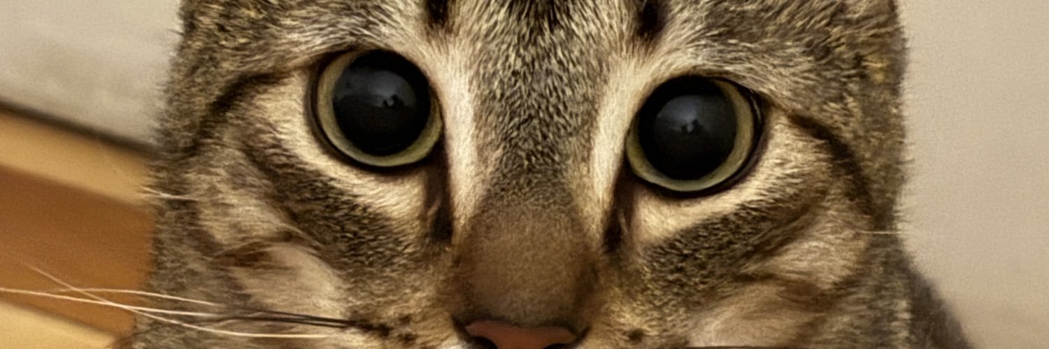 Giuli_Scalia's profile banner image