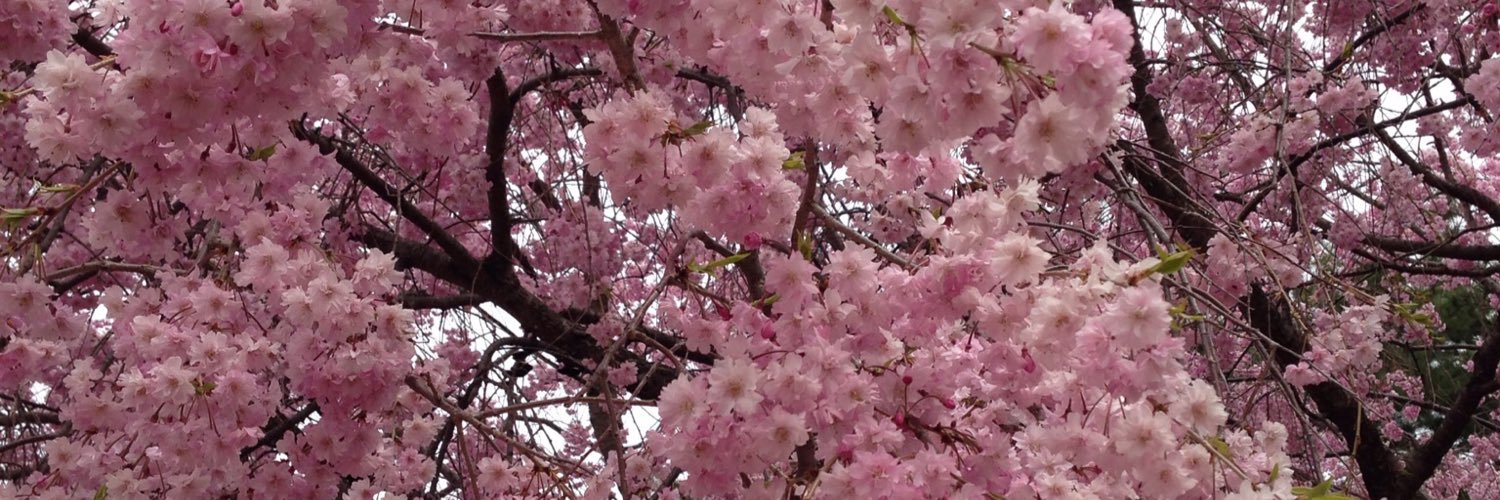 4BASNF's profile banner image