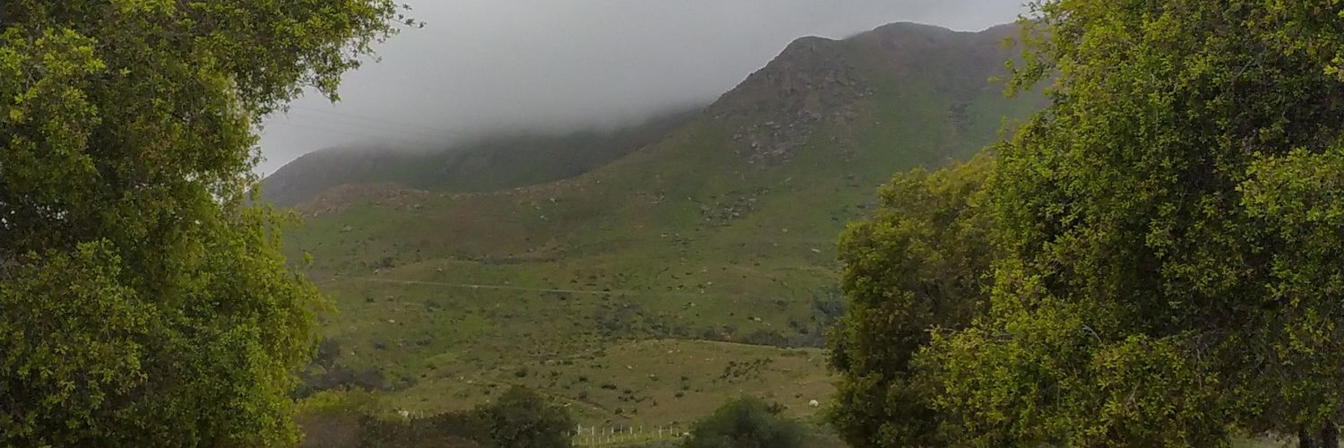 Eduardo Hermosillo banner