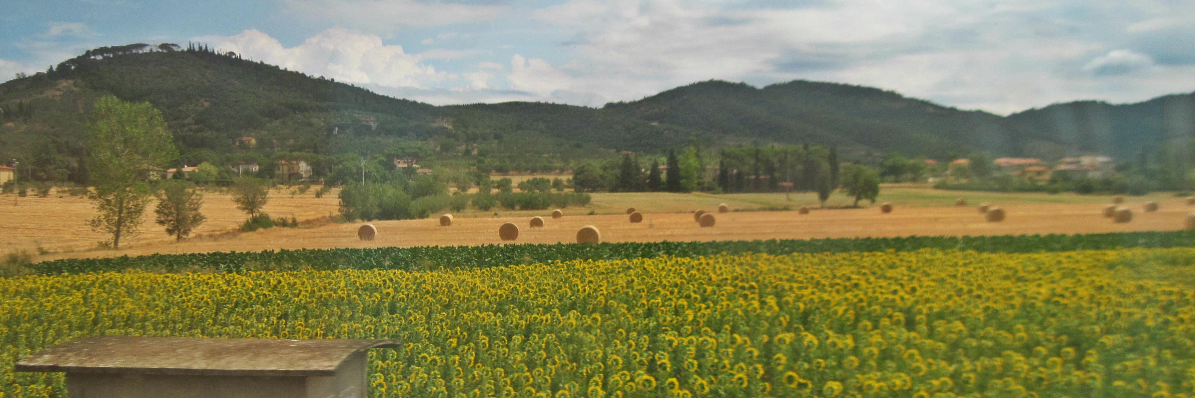 BidishaDg's profile banner image