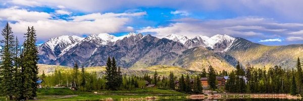 Arlene Cohen Miller, JD PCC banner