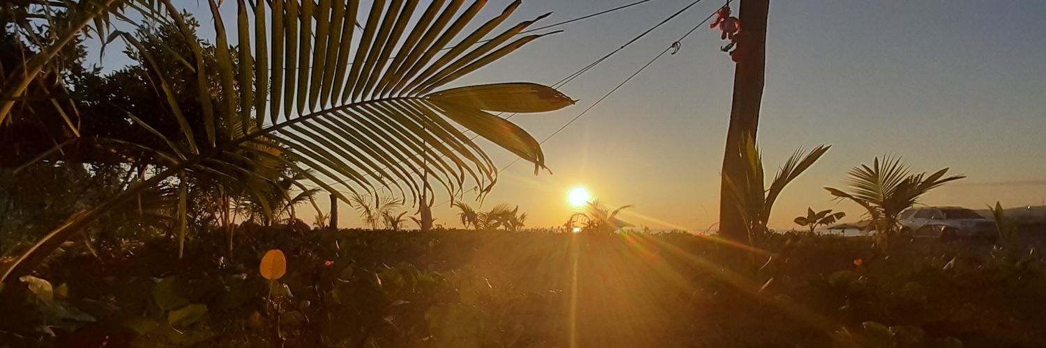 Beturas's profile banner image