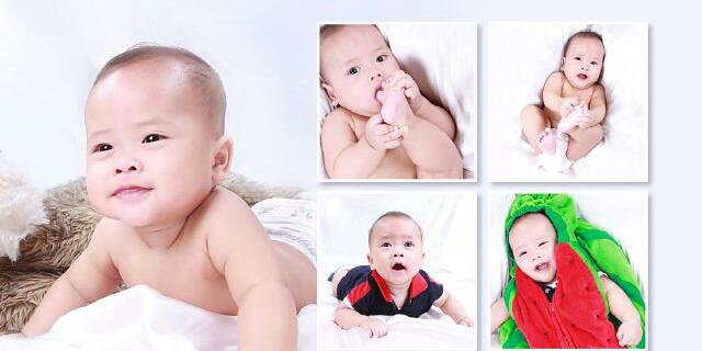 Shindytaftia's profile banner image