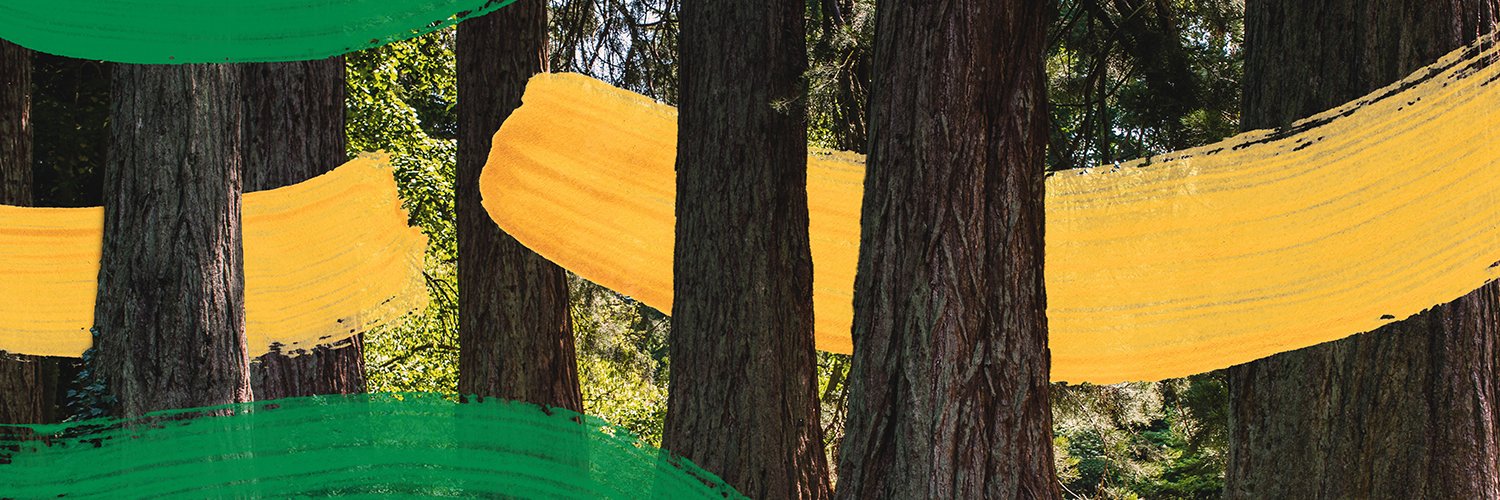 Westonbirt Arboretum - Forestry England's banner