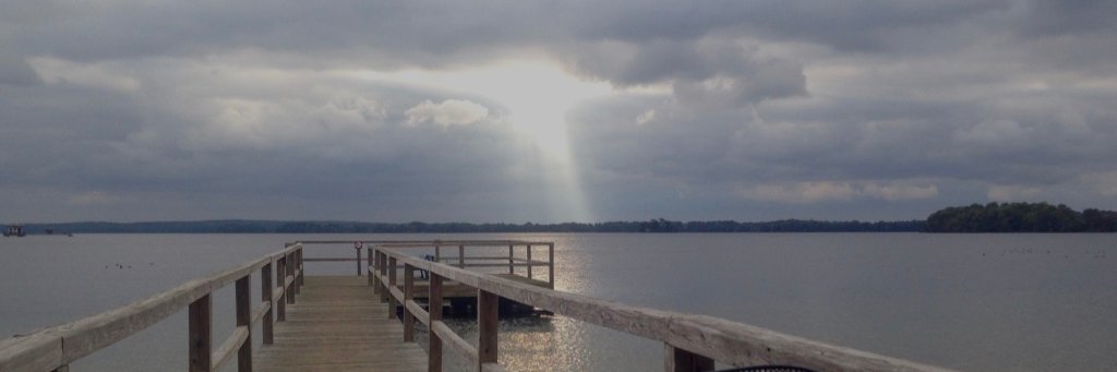 sorkwlsdldi's profile banner image