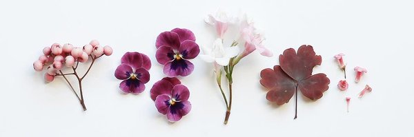 dr_nouf212 Profile Banner