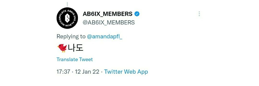 amandapfl_'s profile banner image