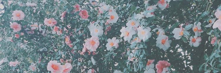 miyp99's profile banner image