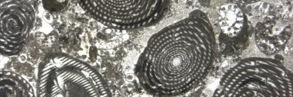 Lauraminifera Profile Banner
