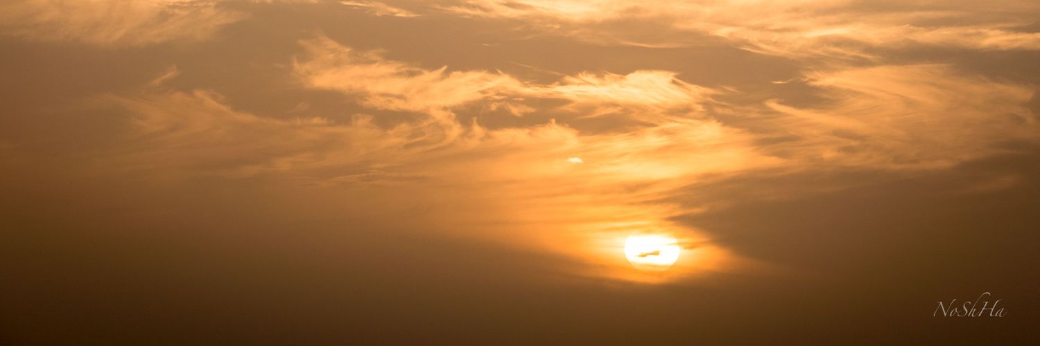 fladdertje's profile banner image
