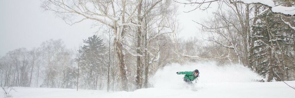 ともすずか banner