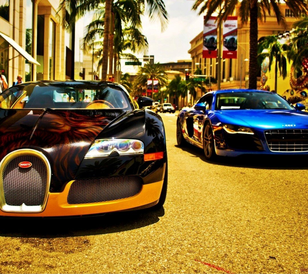 AleloSaif's profile banner image