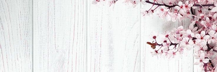 natinmr's profile banner image