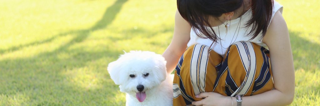 w40161329k's profile banner image