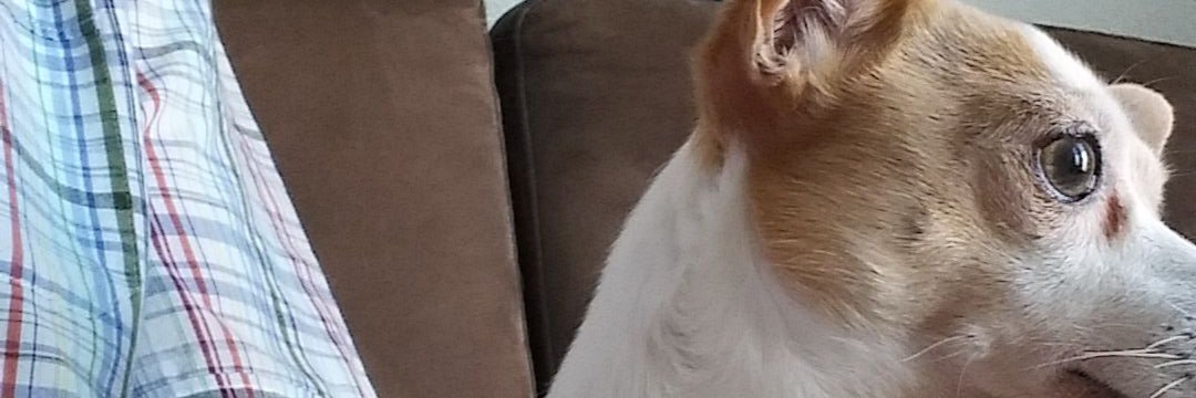 ChristiaanBo's profile banner image