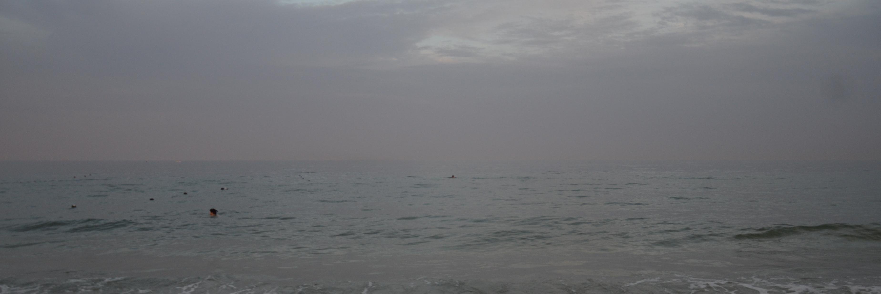 Dimiter Kenarov banner