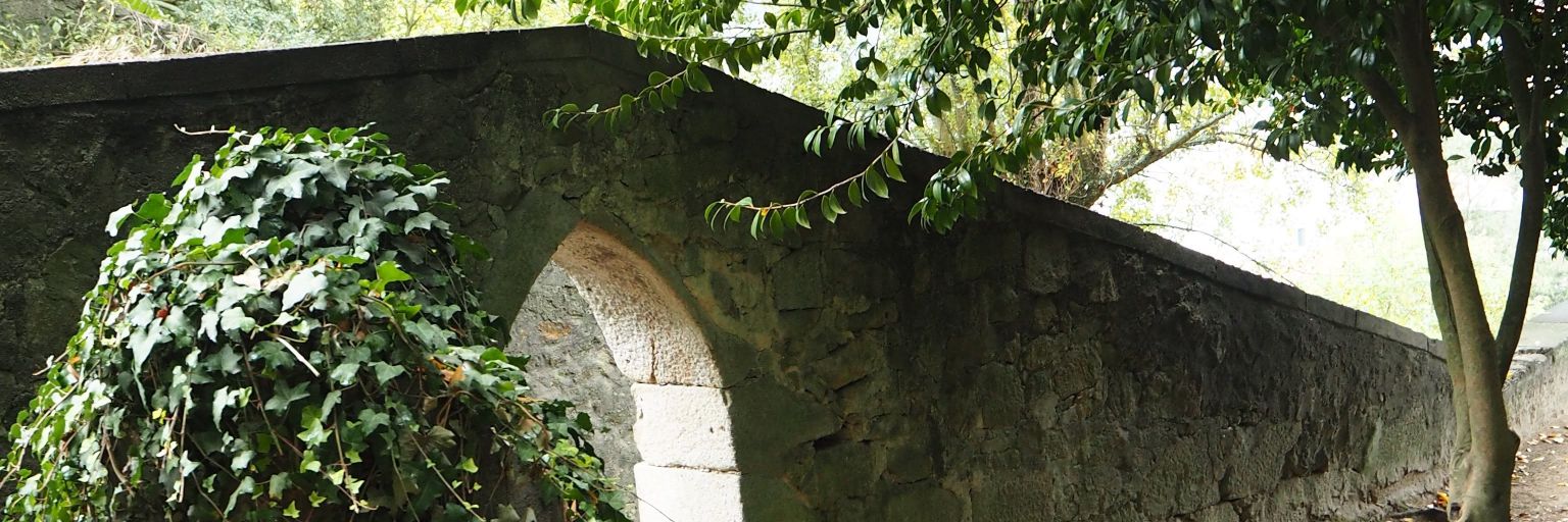 Nalleba's profile banner image