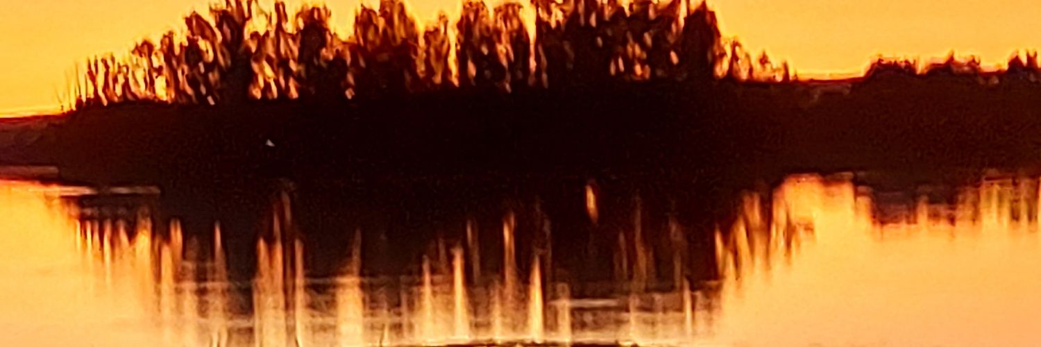 sangaruz's profile banner image
