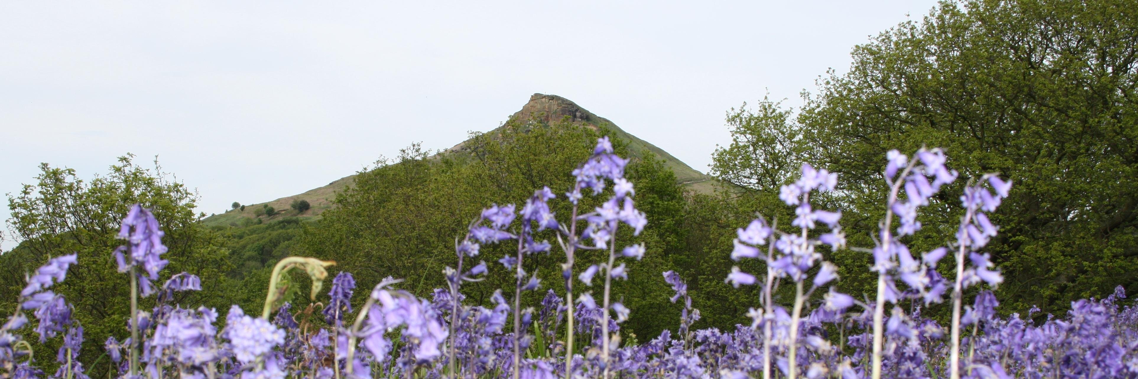 John @ Medida banner