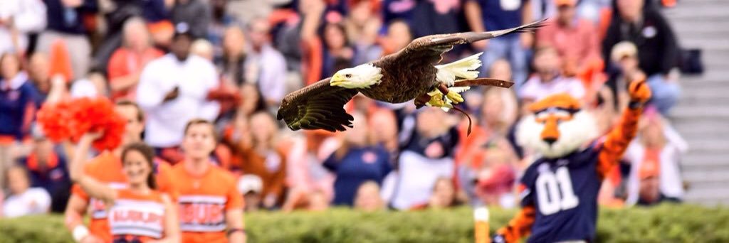 Sonya Luker Bryant banner